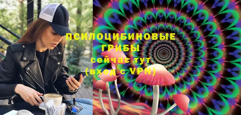 Галлюциногенные грибы MAGIC MUSHROOMS  где можно купить   Никольское 